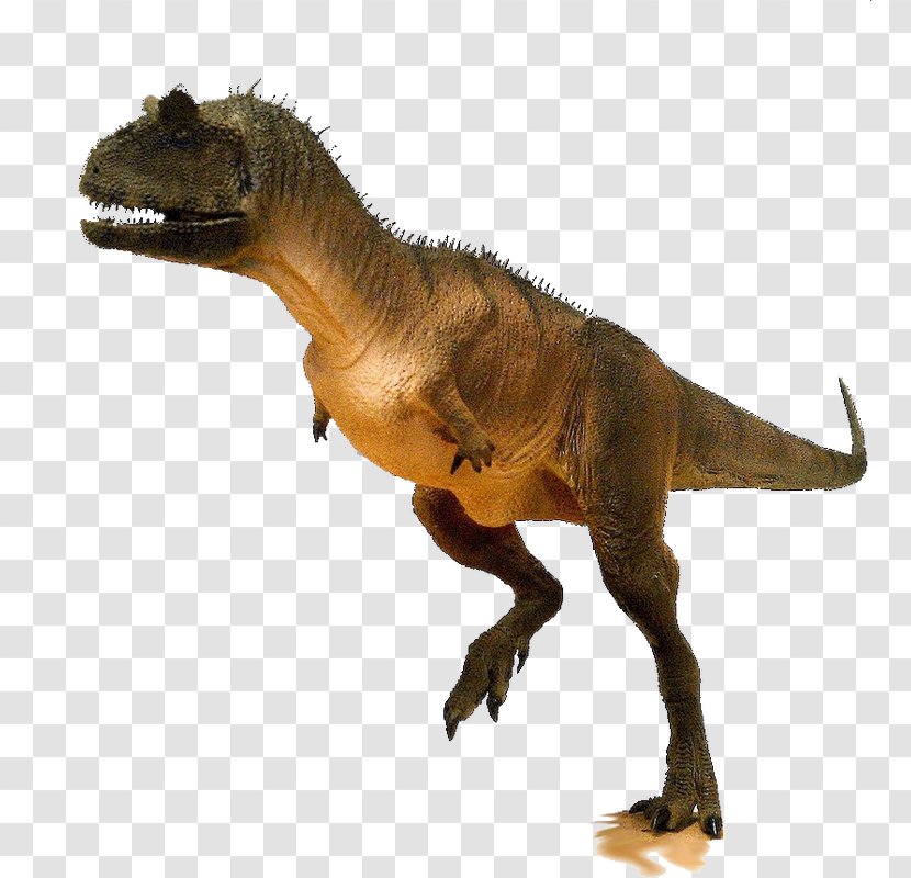 Tyrannosaurus Carnotaurus Ankylosaurus Spinosaurus Dinosaur King Transparent PNG