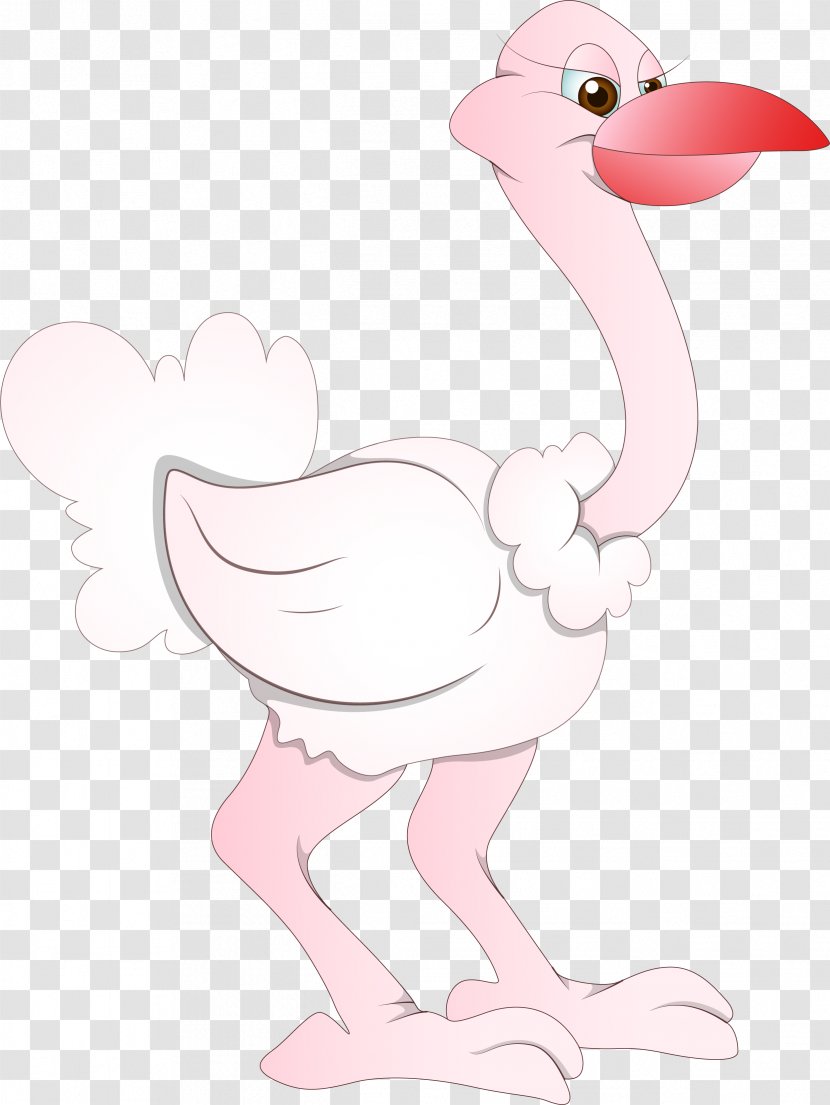 Common Ostrich Bird Cartoon Drawing Feather - Heart Transparent PNG