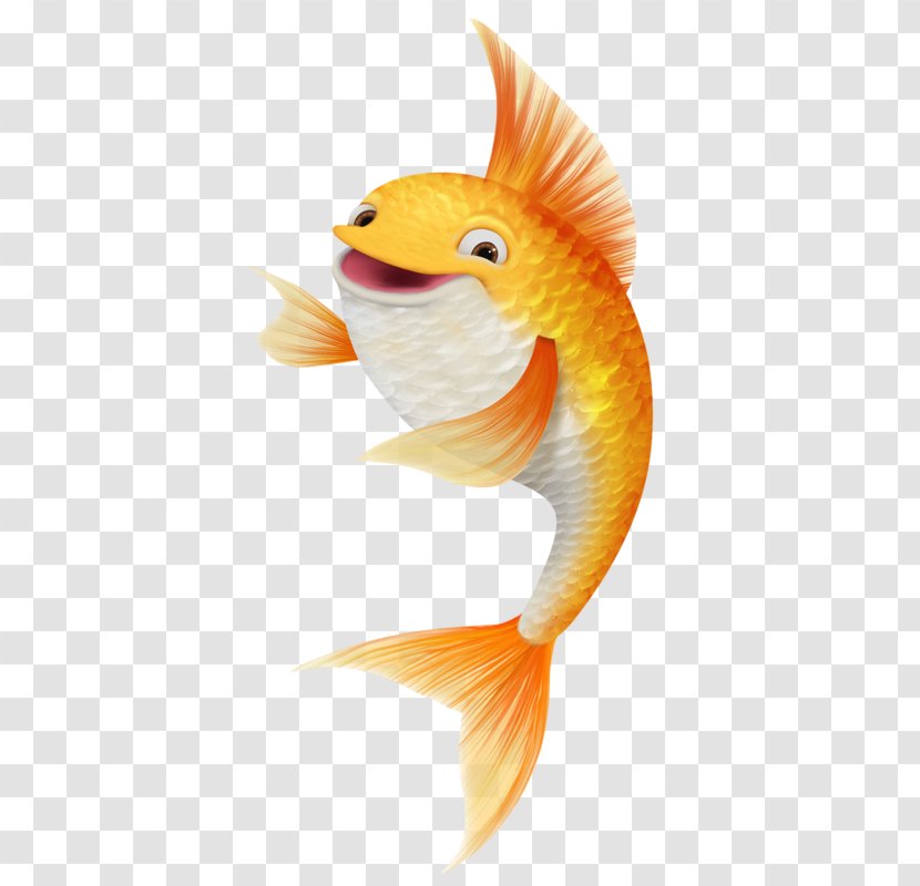 Koi Goldfish Drawing - Laughing Fish Transparent PNG