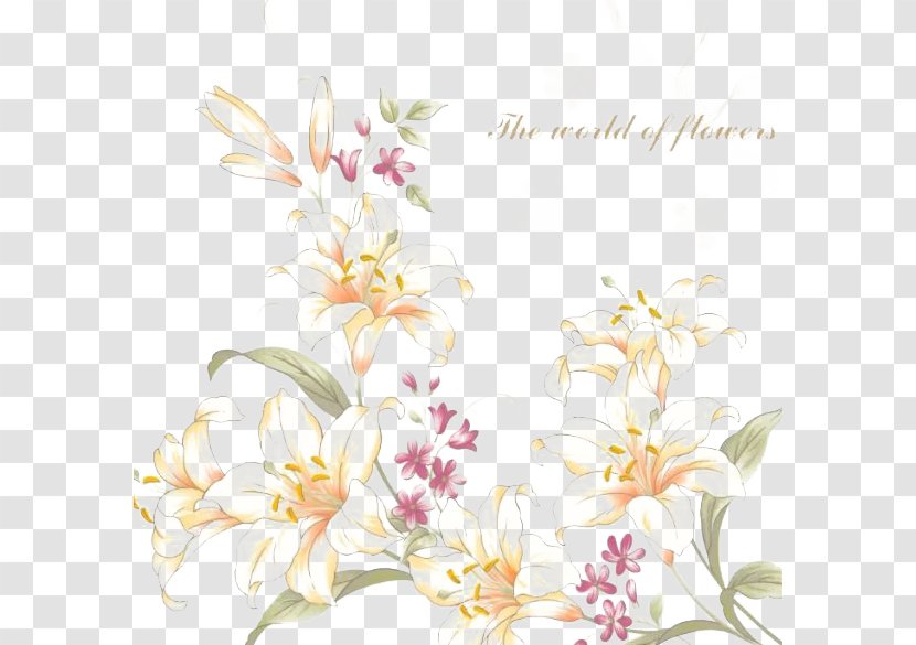 Floral Design Desktop Wallpaper Flower - Cut Flowers - Hand-painted Lily Transparent PNG