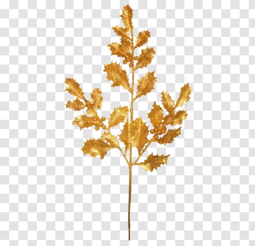 Food Image Vector Graphics Clip Art - Fruit Tree - Golden Samphire Inula Crithmoides Transparent PNG