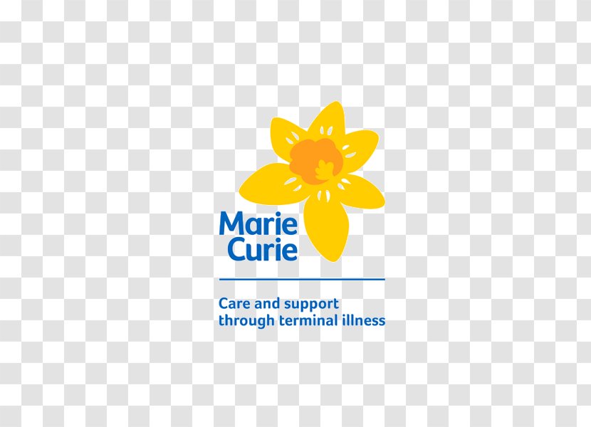 Marie Curie Great Daffodil Appeal Terminal Illness Charitable Organization Fundraising - Logo Transparent PNG
