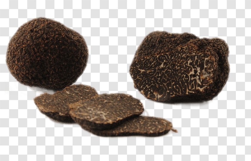 Périgord Black Truffle Piedmont White Alba Fungus - Mushroom Transparent PNG