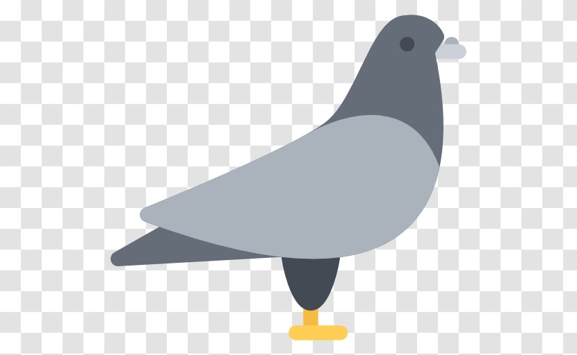 Columbidae Domestic Pigeon Pet - Bird - Paloma Vector Transparent PNG