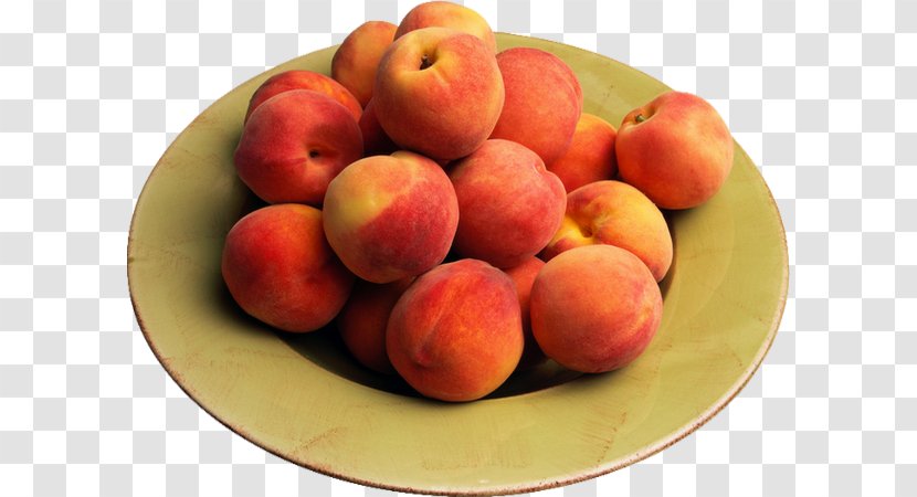 Peach Apricot - Food - Fruit Transparent PNG