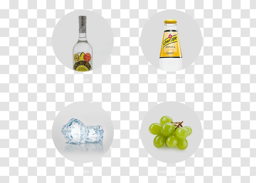 Fruit - Drinkware - Design Transparent PNG