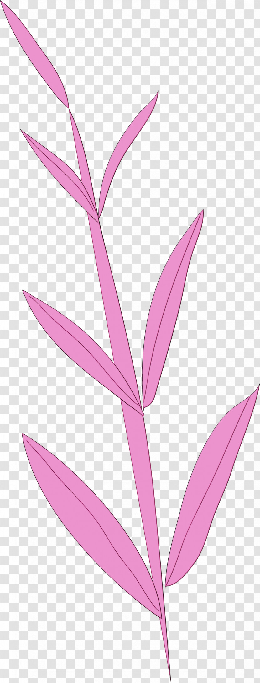 Plant Stem Petal Leaf Pink M Line Transparent PNG