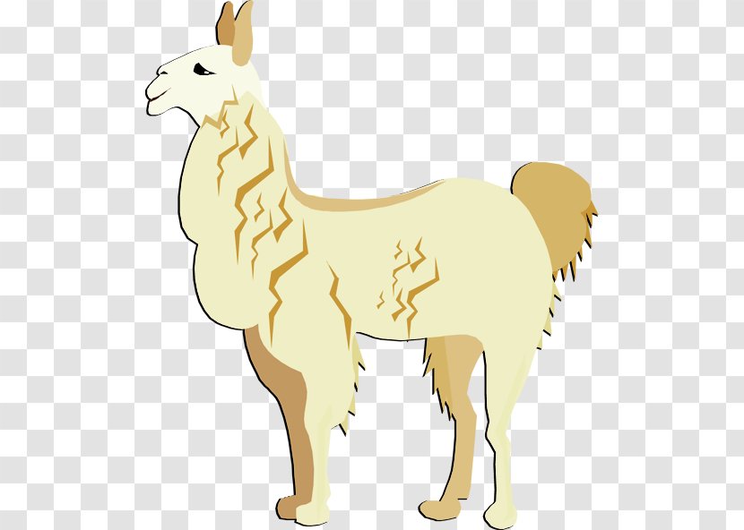 Llama Alpaca Free Content Clip Art - Sticker - Cliparts Transparent PNG