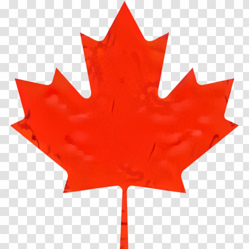 Canada Maple Leaf - Shirt - Red Flag Transparent PNG