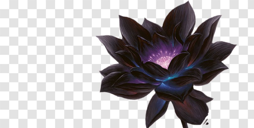 Magic: The Gathering Online Power Nine Black Lotus Magic Points - Flower - Game Transparent PNG