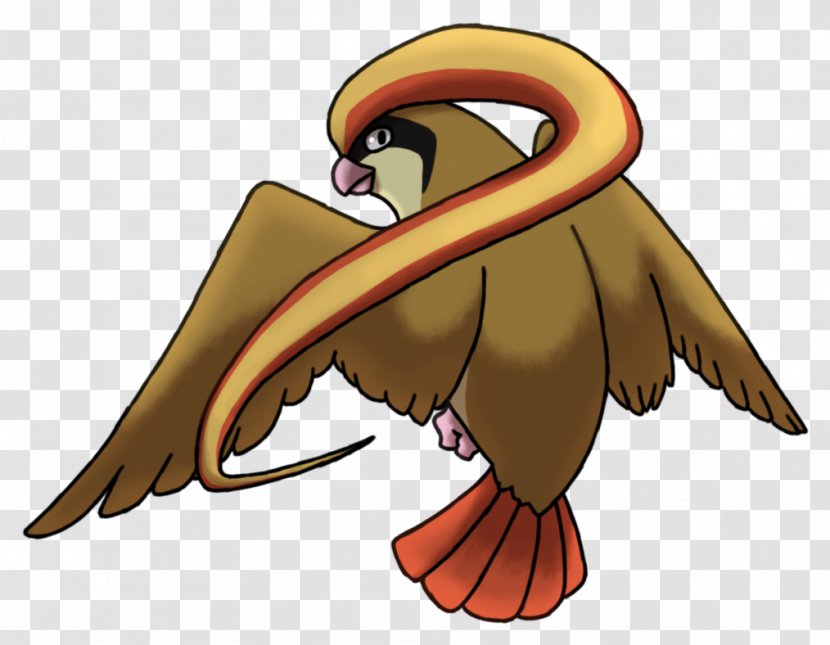 Ash Ketchum Pidgeot Pokémon X And Y GO Universe - Bird Of Prey Transparent PNG