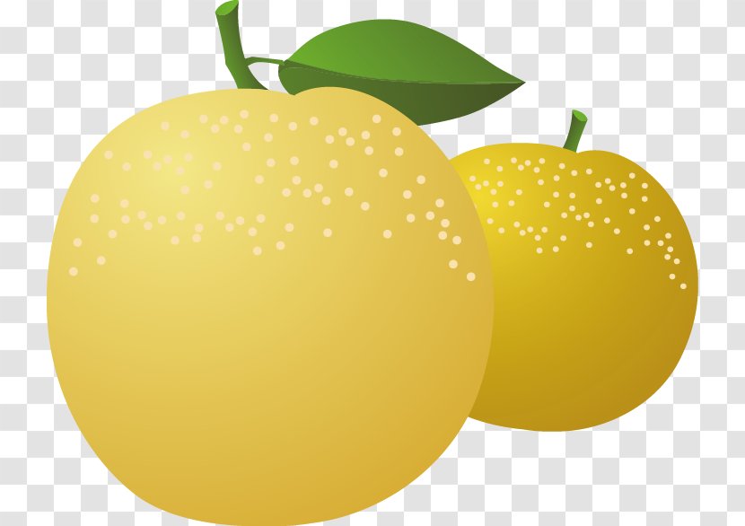 Lemon Asian Pear - Apple - Vector Material Transparent PNG