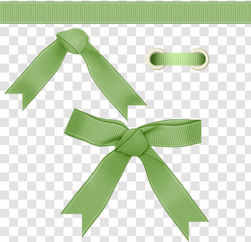 Ribbon Albom Clip Art - Green - Wrap Transparent PNG