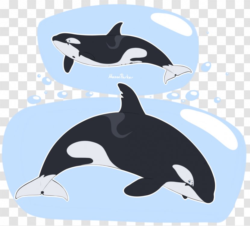 Dolphin Penguin Killer Whale Fauna Whales - Wildlife Transparent PNG