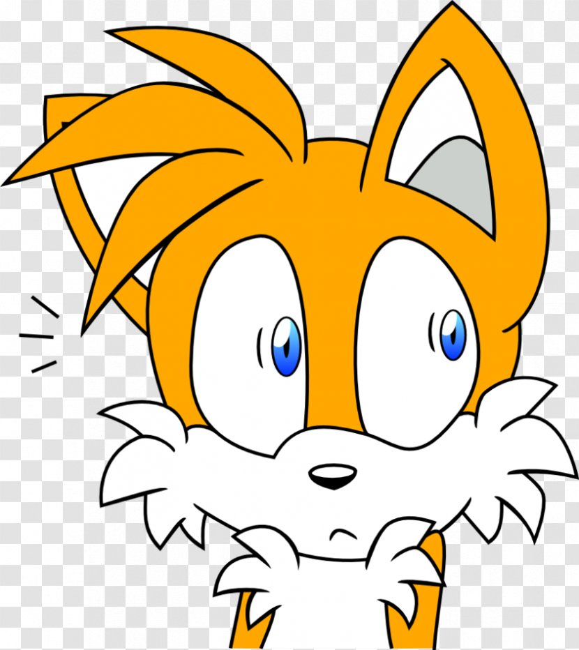 Tails Knuckles The Echidna Knuckles' Chaotix Sega - Leaf - Vector Flower Fox Tail Transparent PNG