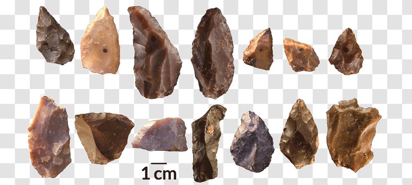 Early Human Migrations Neanderthal Jebel Irhoud Upper Paleolithic Homo Sapiens - Archaic Humans - Ancient Tile Transparent PNG