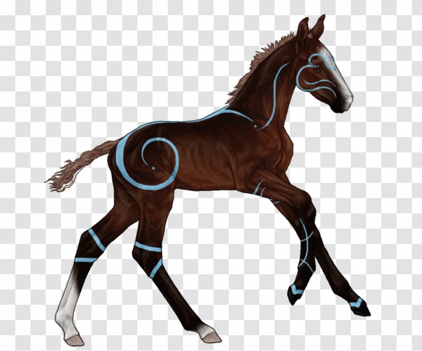 Mustang Foal Colt Mare Stallion - Mammal Transparent PNG