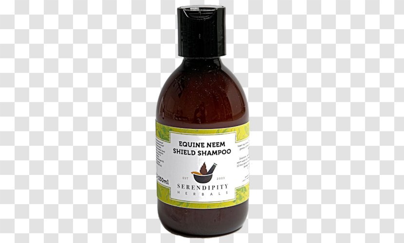 Neem Tree Mediral International Tea Oil Shampoo - Amazoncom - Hedera Helix Transparent PNG