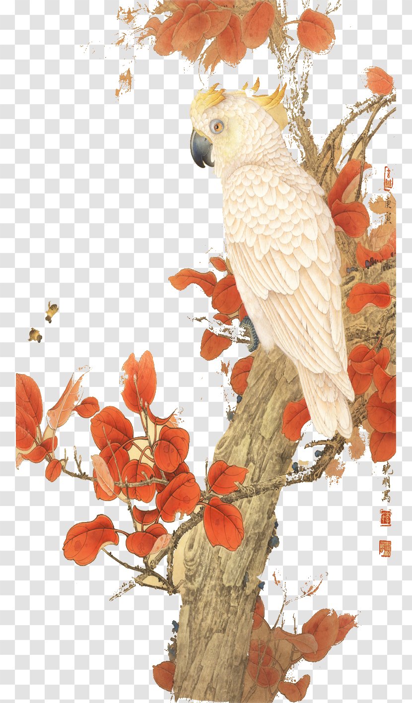 Parrot Illustration - Fauna Transparent PNG