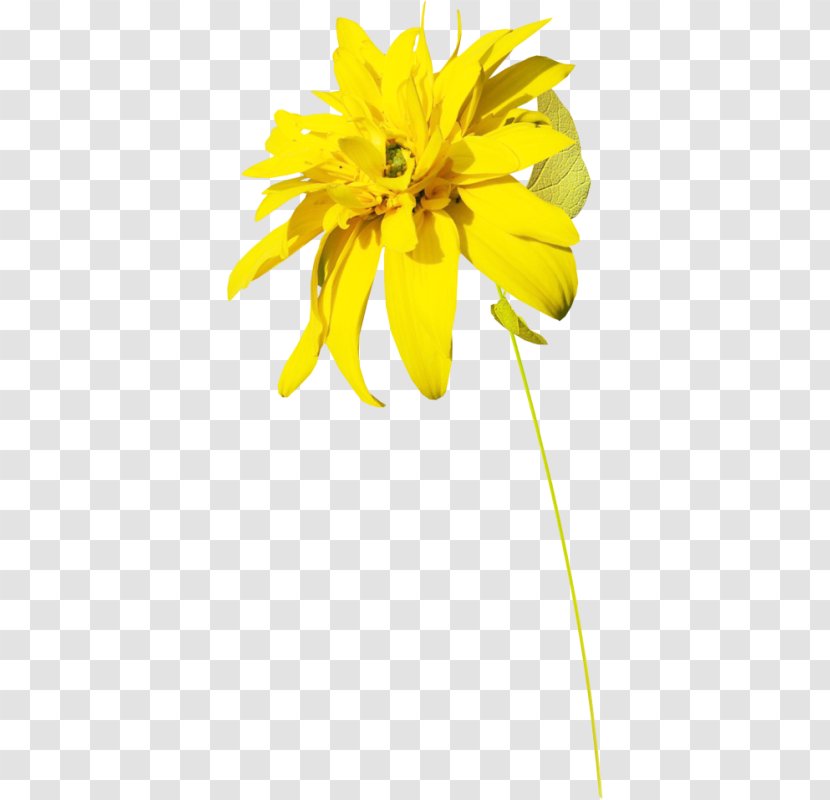 Common Sunflower Yellow Floral Design Petal - Digital Image - Transparent Flower Crown Transparent PNG