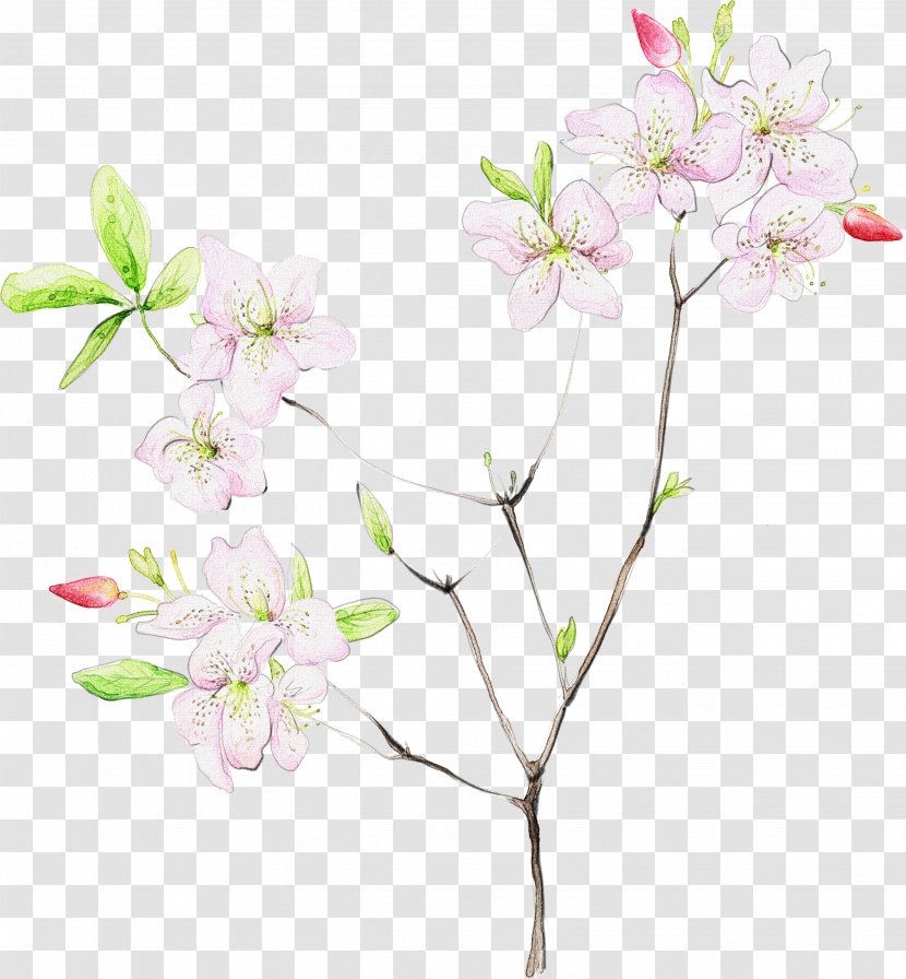 Flower Desktop Wallpaper WUXGA Wide XGA - Tree - Watercolor White Transparent PNG