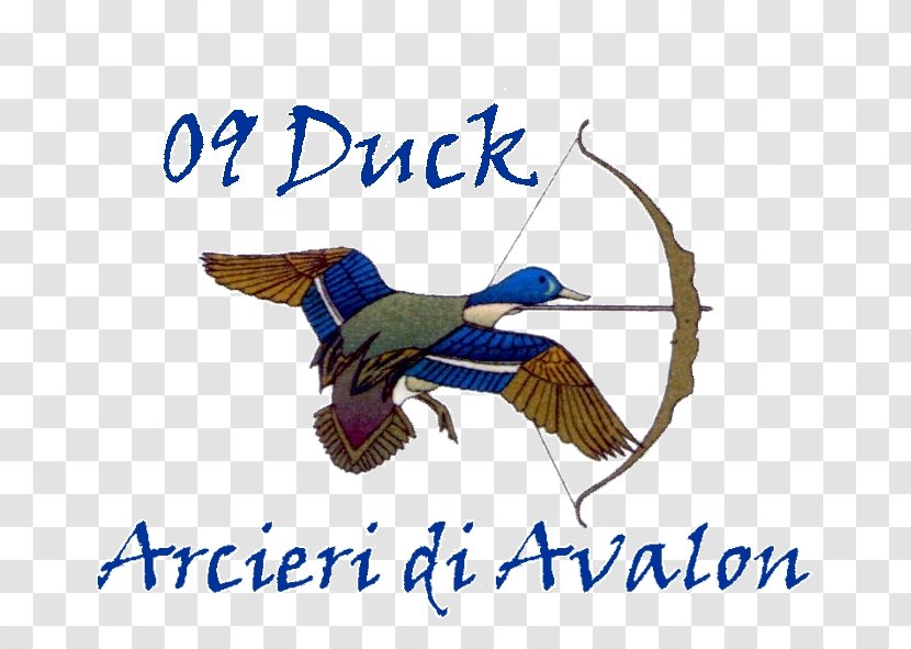 Federazione Italiana Arcieri Tiro Di Campagna Duck ASD Avalon Beak Goose - Cygnini Transparent PNG