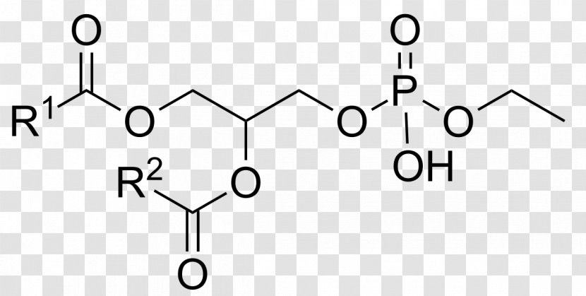 Chemistry Chemical Substance Malic Acid Glyphosate - Flower - Tree Transparent PNG