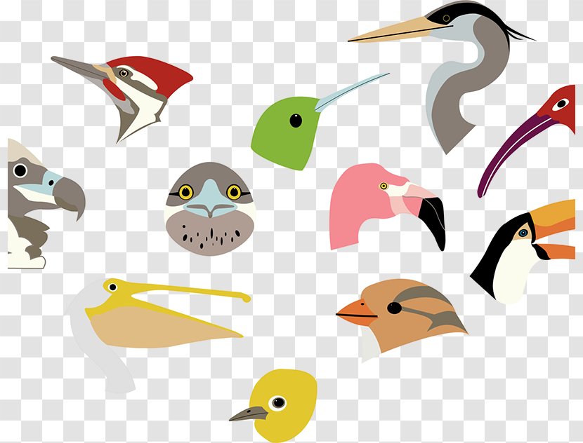 Watercolor Animal - Beak - Wildlife Figure Transparent PNG