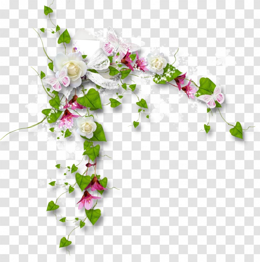 Clip Art - Floral Design - Petal Transparent PNG