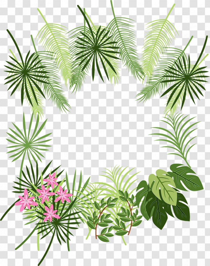 Palm Tree Background - Flower - Plant Stem Branch Transparent PNG