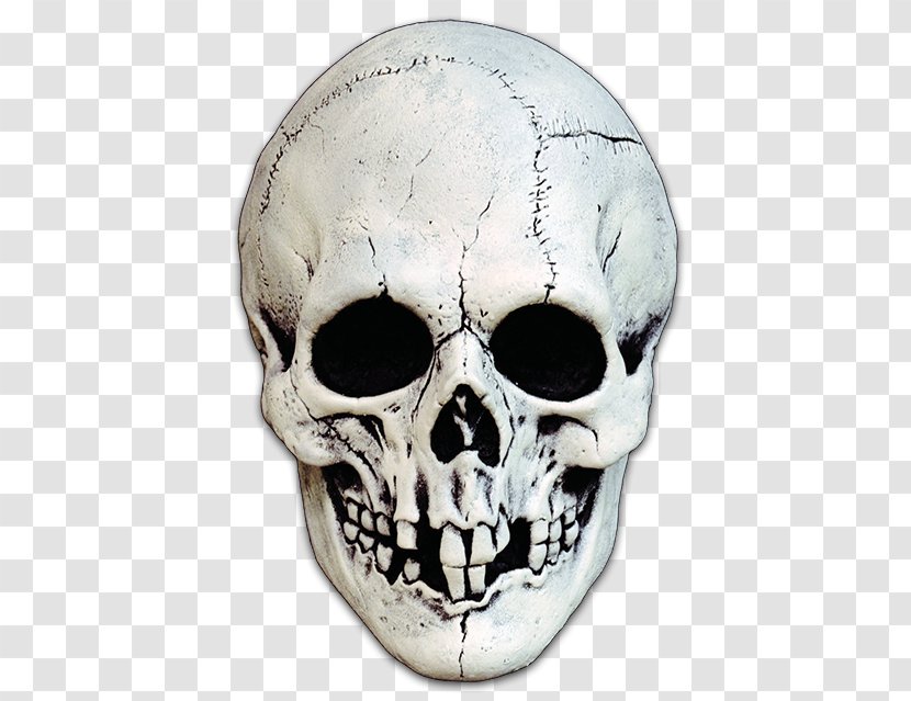 Skull Skeleton Mask Bone Costume Party Transparent PNG