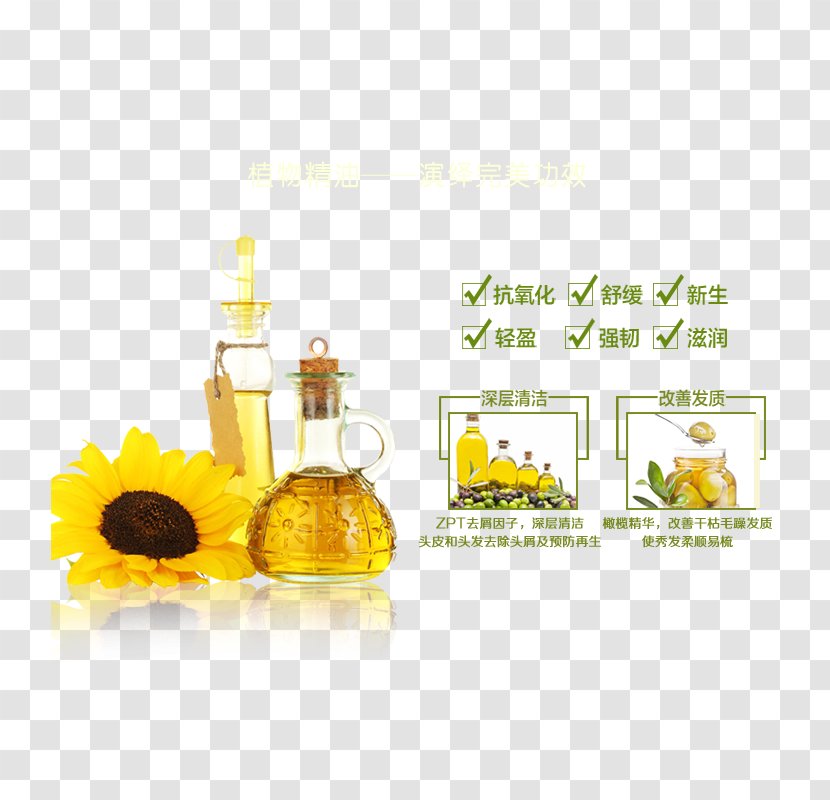 Sunflower Oil Olive Sesame Food - Common - Plant Essential Conditioner Transparent PNG