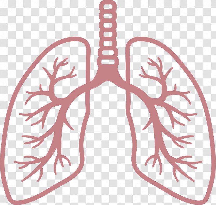 Lung Respiratory System Disease Breathing - Silhouette - Lungs Transparent PNG