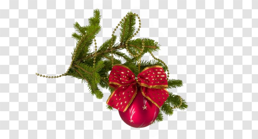 New Year Tree Christmas Holiday - Fruit Transparent PNG