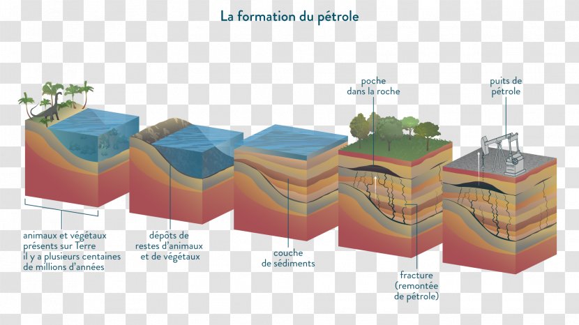Petroleum Oil Refinery Well Hydrocarbon Tanker - Organique Transparent PNG