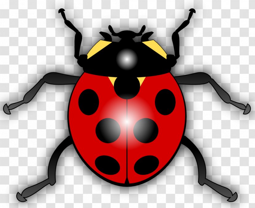 Ladybird Insect Clip Art - Illustration - Cartoon Ladybug Transparent PNG