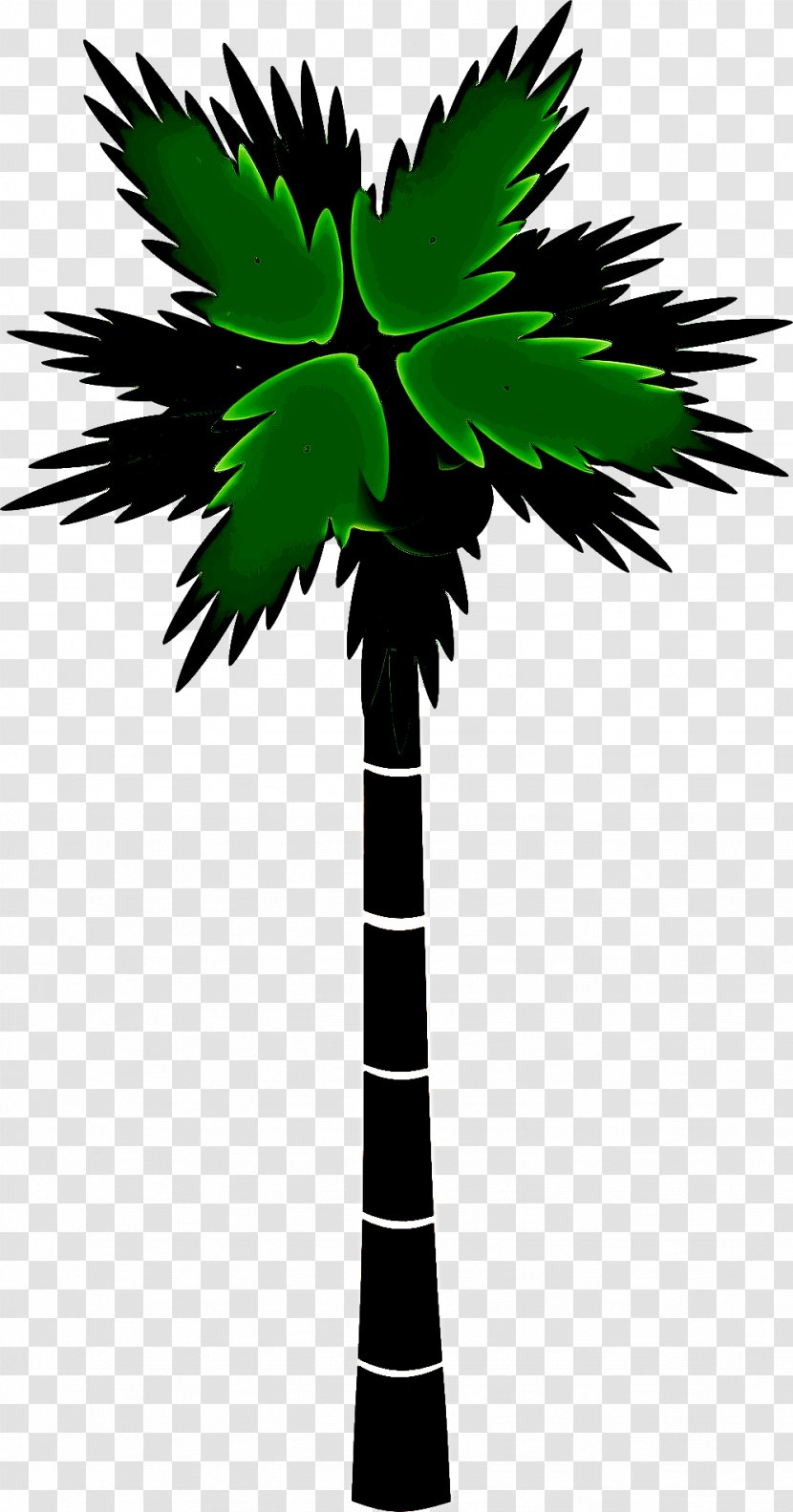 Palm Tree - Woody Plant - Coconut Desert Transparent PNG