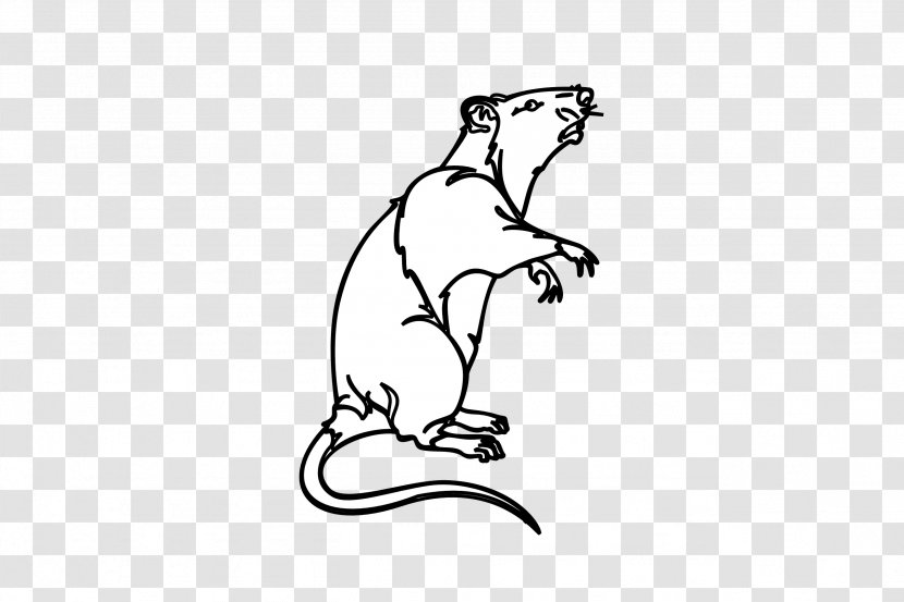 Clip Art Laboratory Rat Image Drawing Mouse - Cartoon Transparent PNG