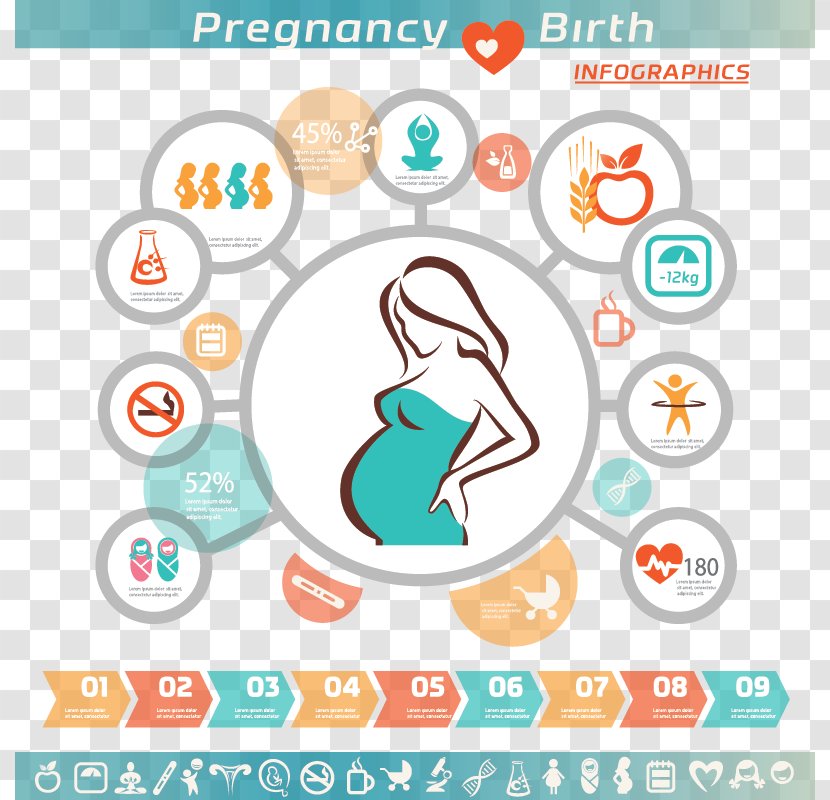 Pregnancy Infographic Woman Icon - Medicine - Cartoon Pregnant Women Vector Material Transparent PNG