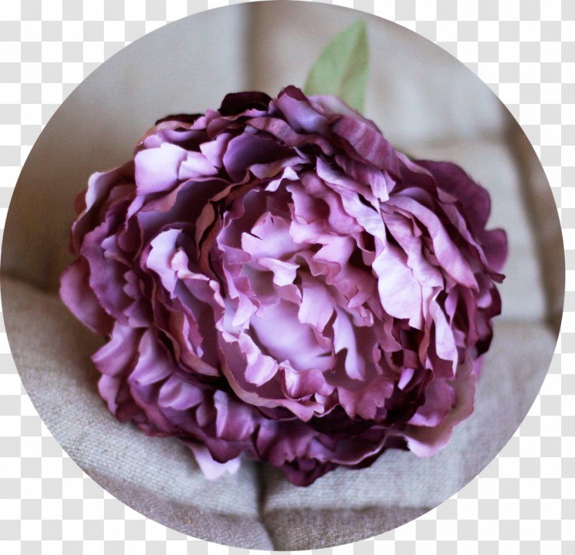 Cabbage Rose Peony Purple Cut Flowers Hortênsia Rosa Transparent PNG