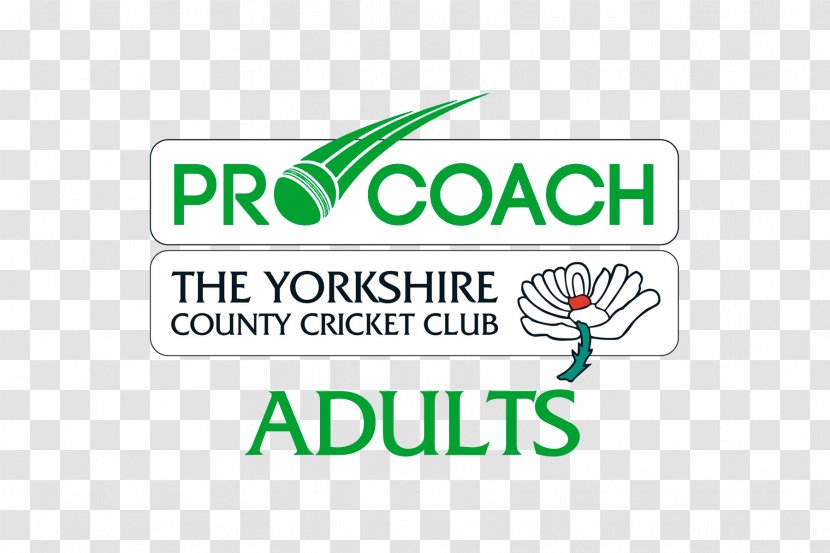 Yorkshire County Cricket Club Pro Coach Academy Wicket - Green Transparent PNG