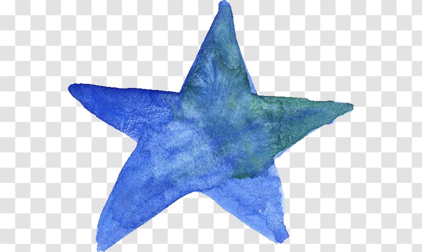 Watercolor Painting Television Image Drawing - Starfish - Blue Transparent PNG