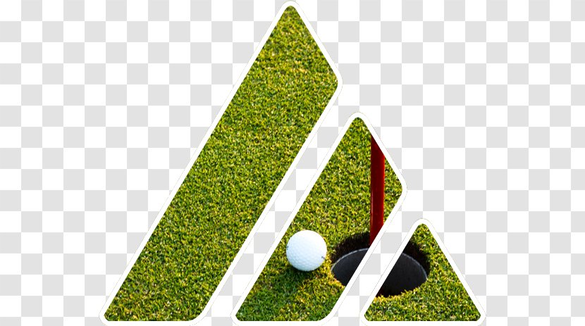 Boseong County Golf Balls Ball Game Angle - Logo - Plant Transparent PNG