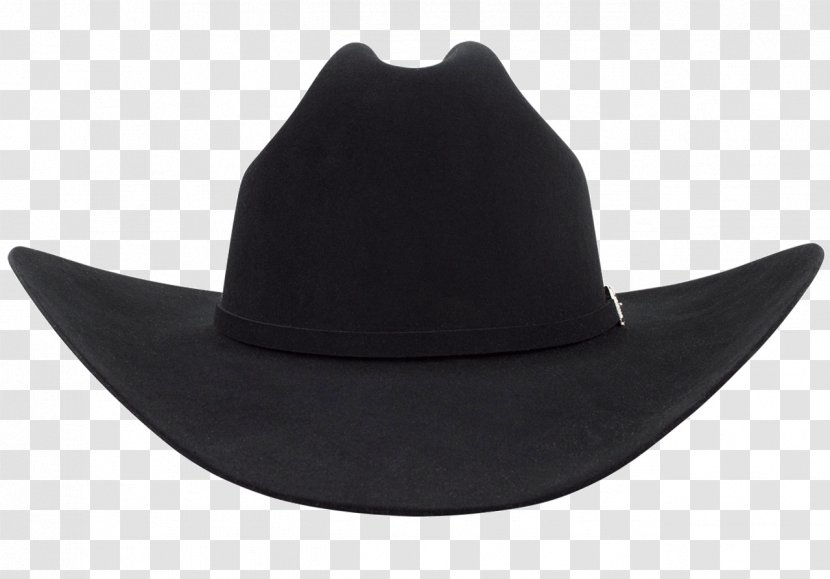 Fedora Stetson Cowboy Hat - People Transparent PNG