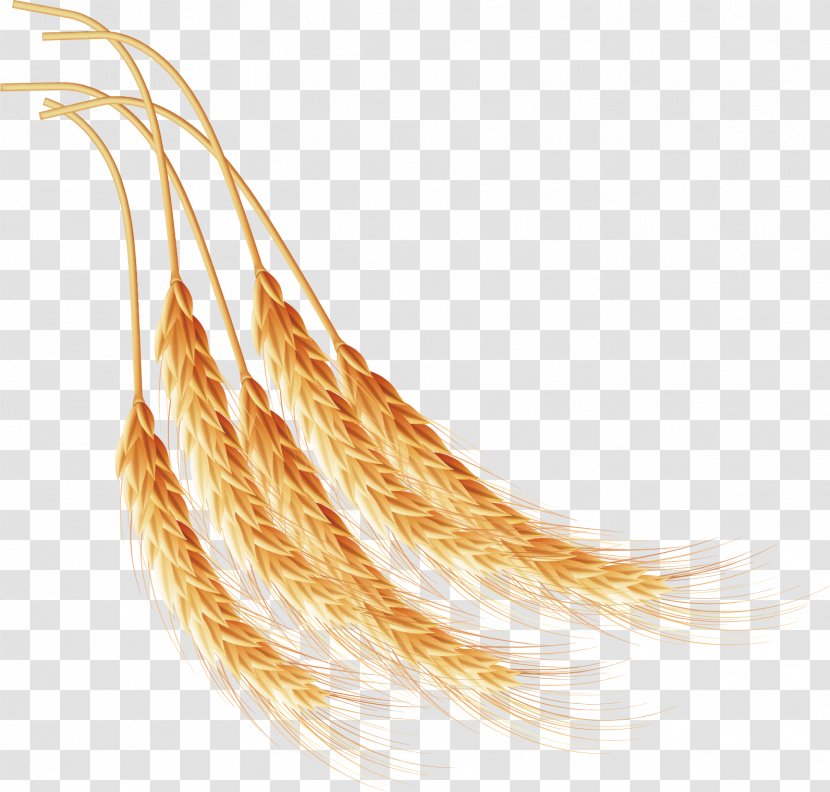 Wheat Computer File - Wing - Ingredients Of Transparent PNG