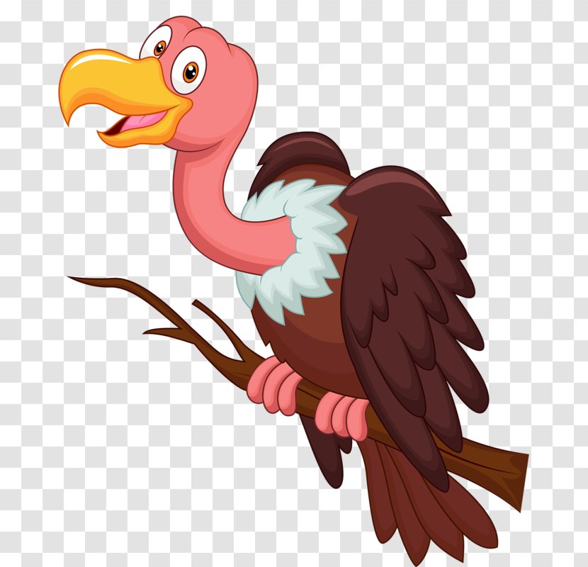 Bird Vulture Cartoon Clip Art - Of Prey Transparent PNG