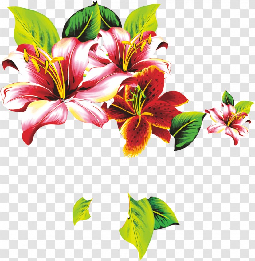 Floral Design Lilium Petal Flower - Lily Flowers Transparent PNG