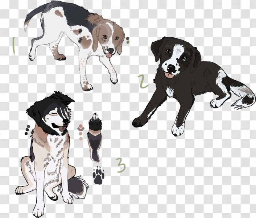 Dog Breed Puppy Leash Paw - Border Collie Labrador Mix Transparent PNG