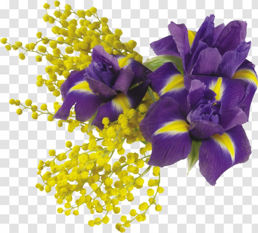 Maslenitsa Sunday Before Lent Holiday Daytime - Iris - Violet Family Transparent PNG
