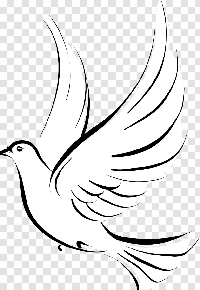 Pigeons And Doves As Symbols Bird Tattoo Image - Leaf Transparent PNG